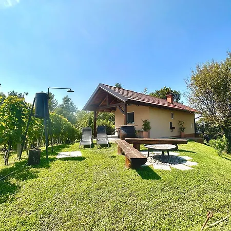 בית נופש Tomajna Vineyard Podlehnik