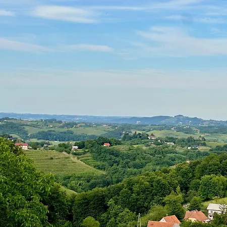 Tomajna Vineyard Podlehnik