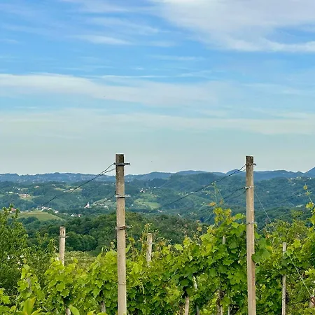 Tomajna Vineyard בית נופש
