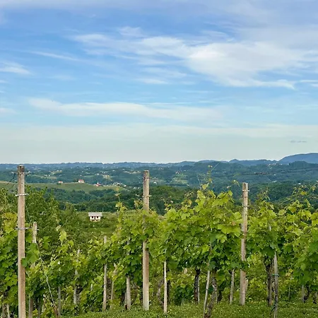 Tomajna Vineyard בית נופש *