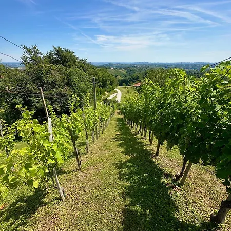 בית נופש Tomajna Vineyard *