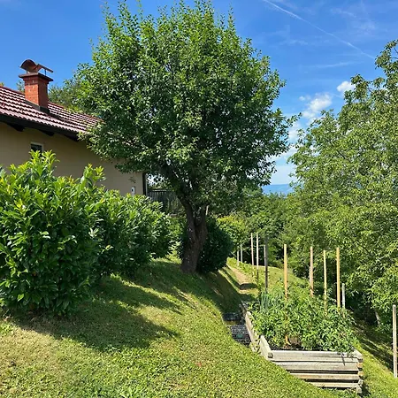 Tomajna Vineyard Podlehnik