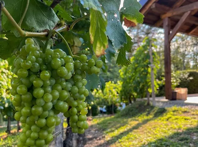 Prázdninový dům House Tomajna *